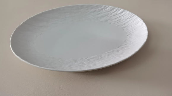 Steam Fish Oval Porcelain Plate 11.5