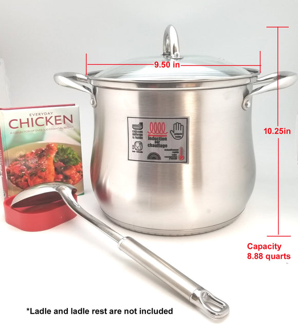 Stainless Steel Family Size Stock Pot w/Glass Lid - 22cm/8.88 Quarts